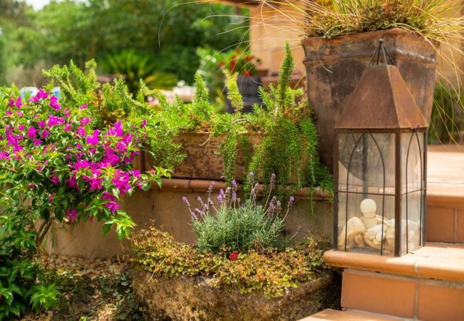 Landhaus in Petra - Villa Bonany Landhaus in Petra - Villa Bonany