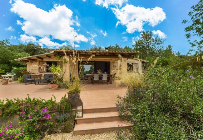 Landhaus in Petra - Villa Bonany Landhaus in Petra - Villa Bonany