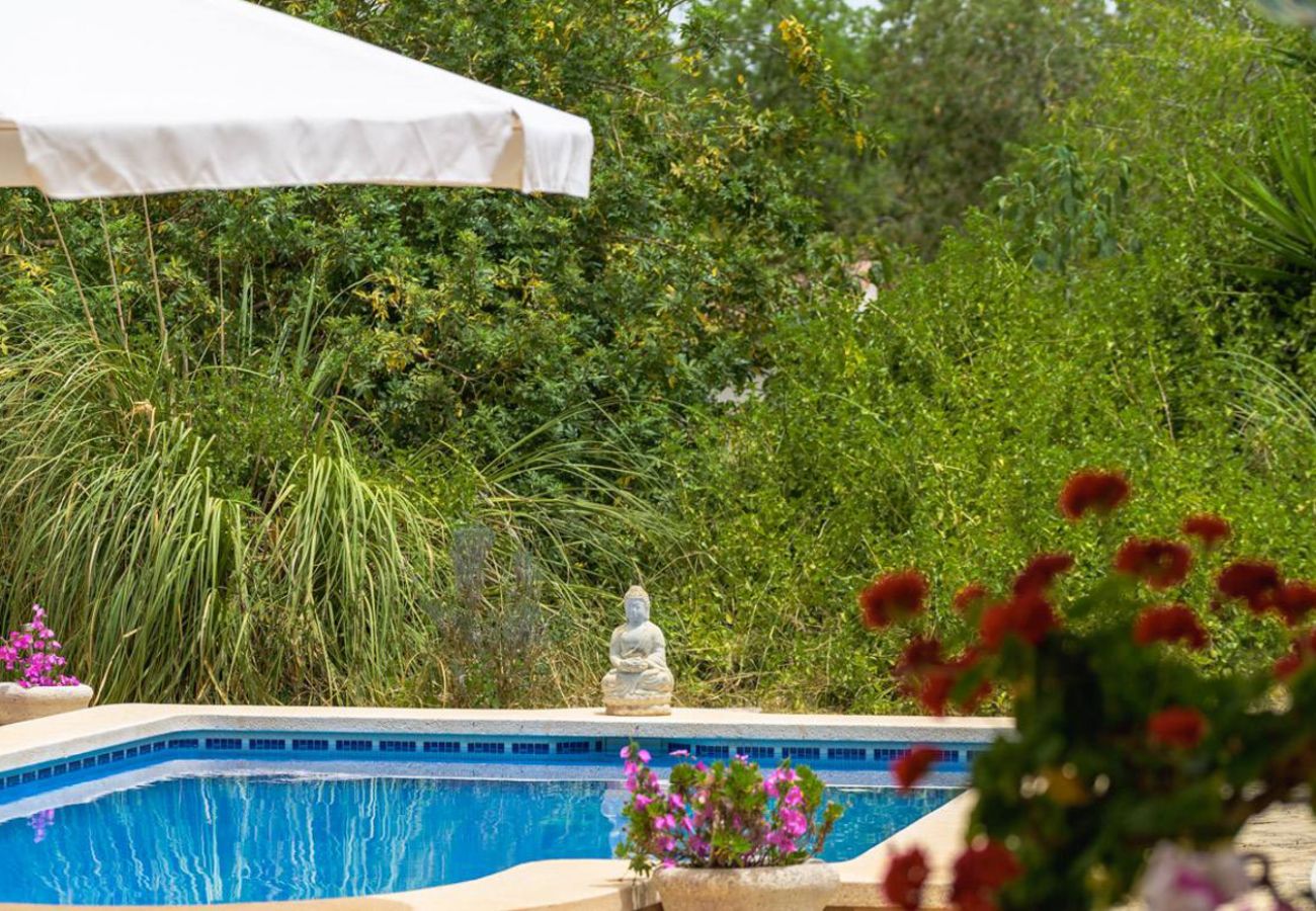 Landhaus in Petra - Villa Bonany Landhaus in Petra - Villa Bonany